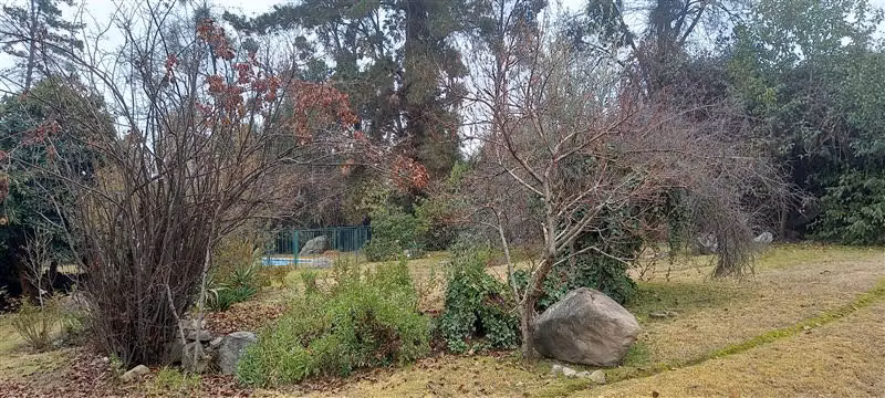 Sitio en venta en La Reina