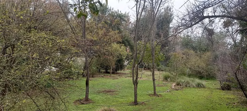 Amplio sitio en venta en La Reina, ideal para inversiones. - Imagen 5