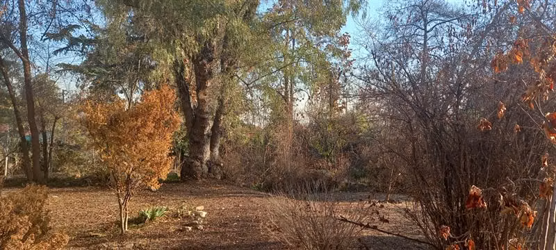 Sitio en venta en La Reina