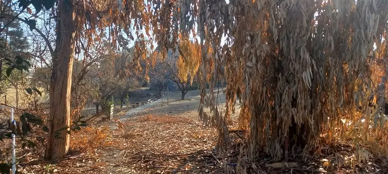 Sitio en venta en La Reina