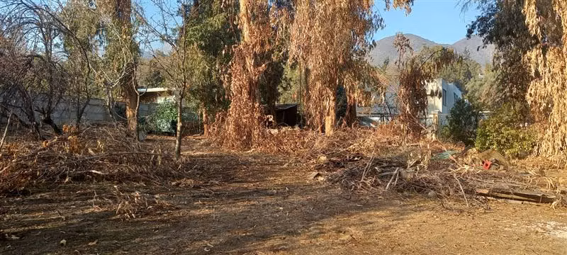 Sitio en venta en La Reina