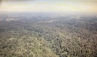 Agrícola en venta en Río Bueno - Imagen 13