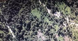 Agrícola en venta en Río Bueno - Imagen 9
