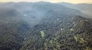 Agrícola en venta en Río Bueno - Imagen 8