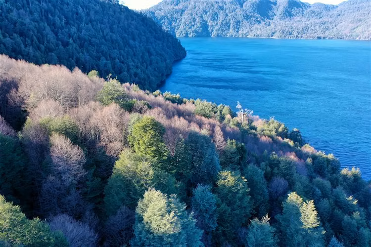 Parcela en venta en Panguipulli