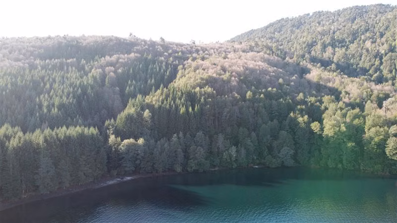 Parcela en venta en Panguipulli