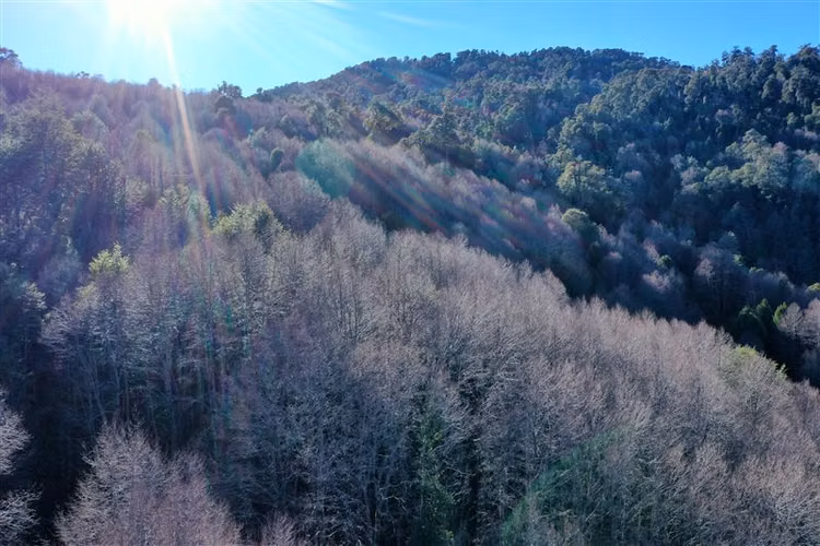 Parcela en venta en Panguipulli
