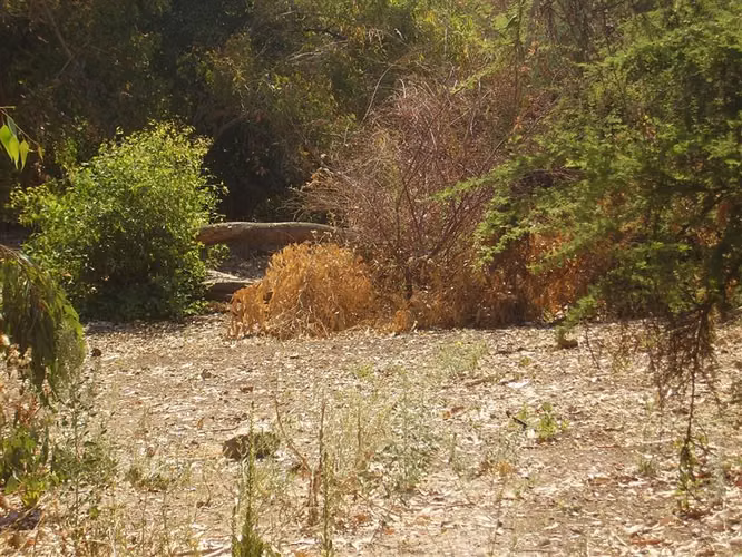 Sitio en venta en Vitacura