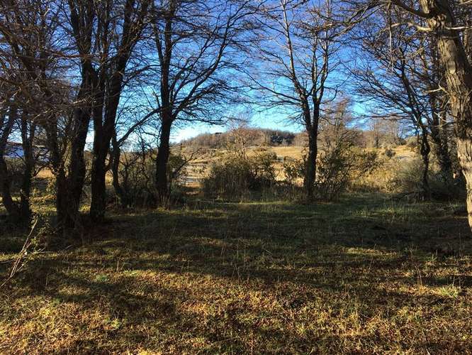 Parcela en venta en Río Ibáñez - Imagen 10
