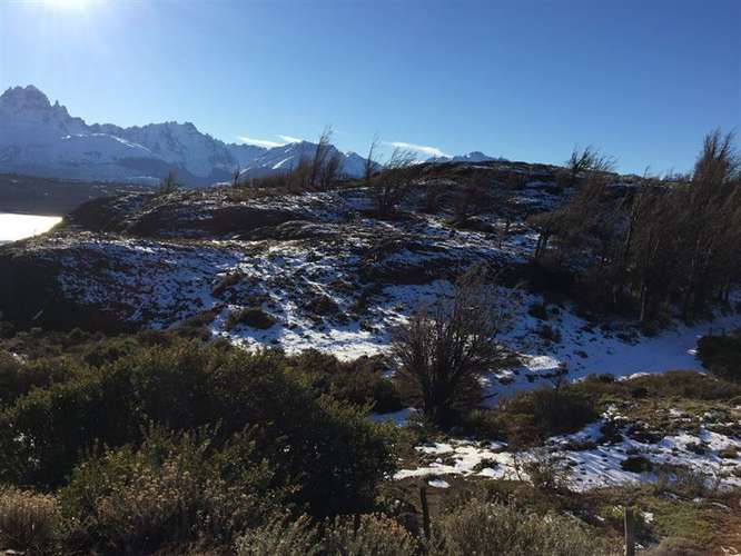 Parcela en venta en Río Ibáñez - Imagen 7