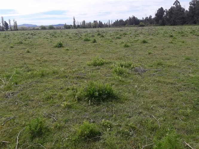 Sitio en venta en San Javier