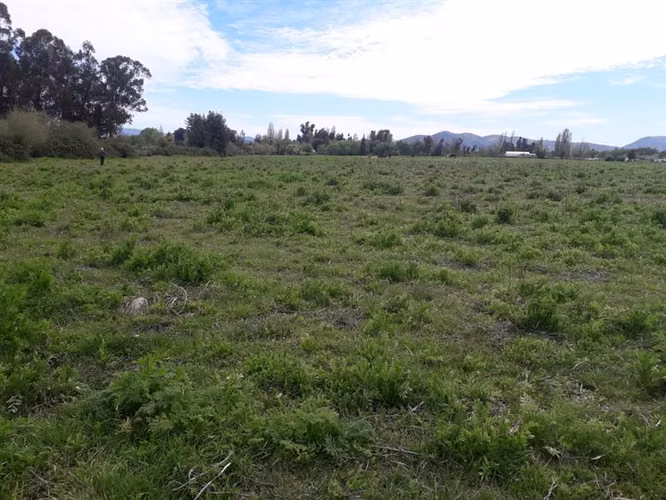 Sitio en venta en San Javier