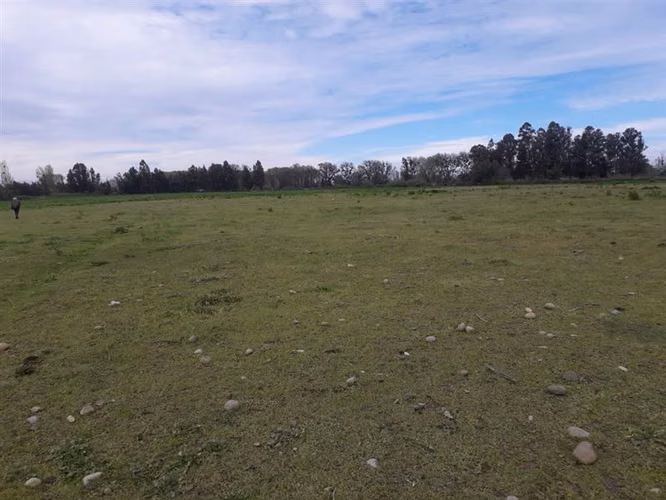 Sitio en venta en San Javier