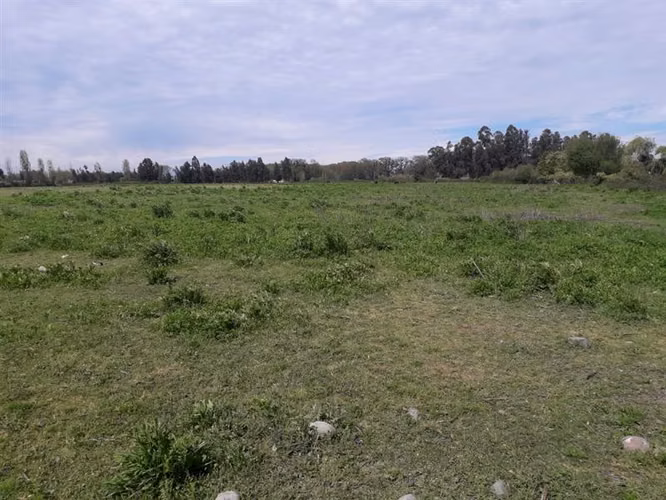 Sitio en venta en San Javier