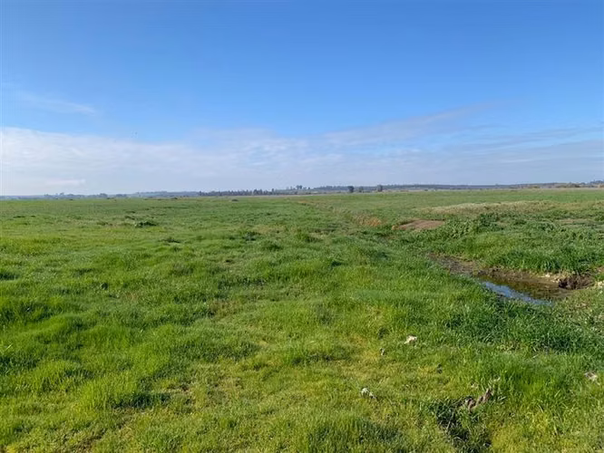Agrícola en venta en Chillán Viejo - Imagen 16
