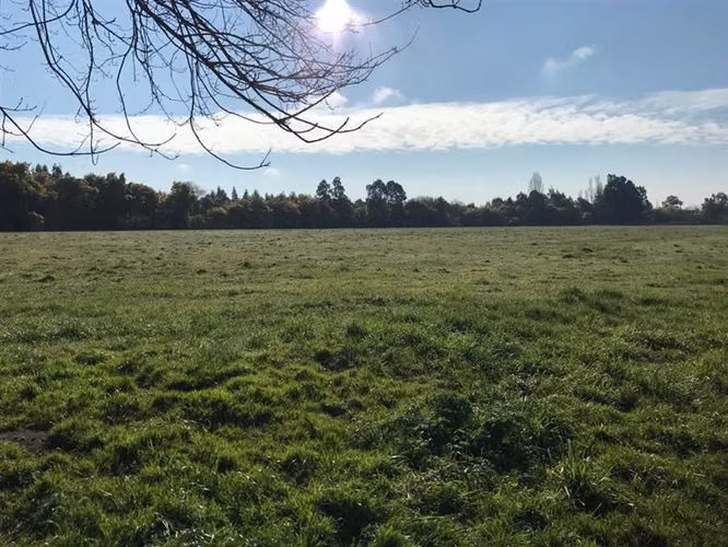 Agrícola en venta en Chillán Viejo - Imagen 12