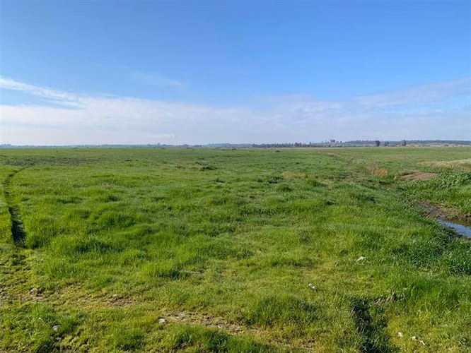 Agrícola en venta en Chillán Viejo