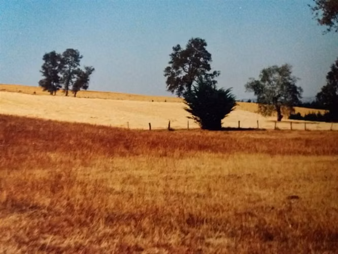 Agrícola en venta en Traiguén