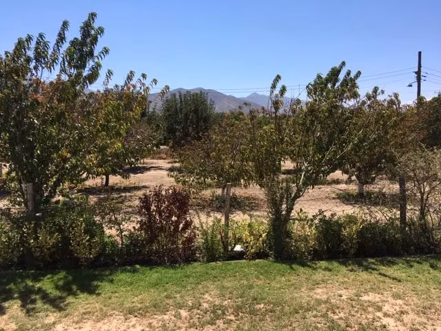 Parcela en venta en Vicuña