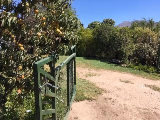 Parcela en venta en Vicuña