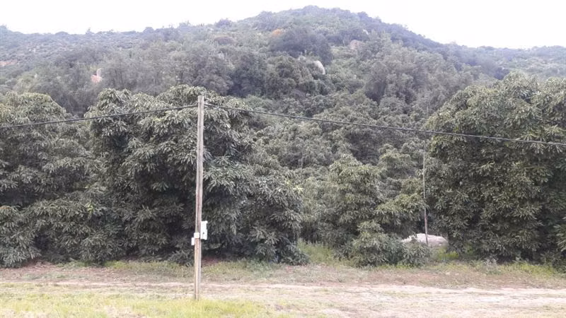 Sitio en venta en Vitacura