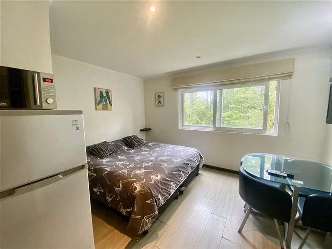 Departamento en arriendo de 1 dorm. en Pucón