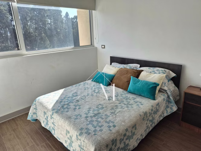 Departamento en arriendo amoblado (167799)