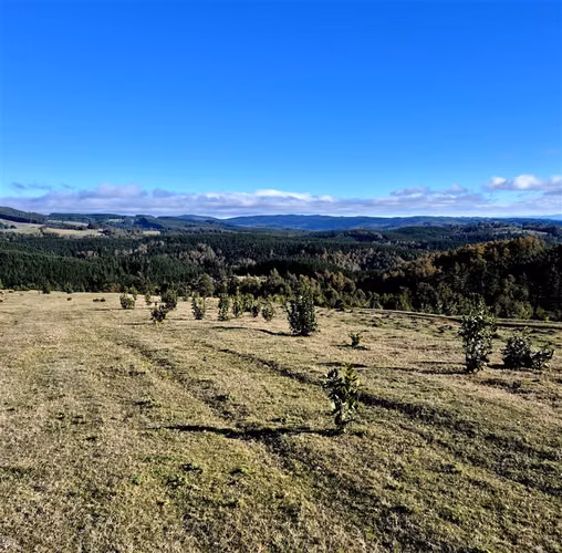 Parcela en Lanco, camino a Valdivia, vistas panorámicas. - Imagen 3