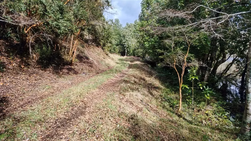 Parcela en venta en Pucón - Imagen 17