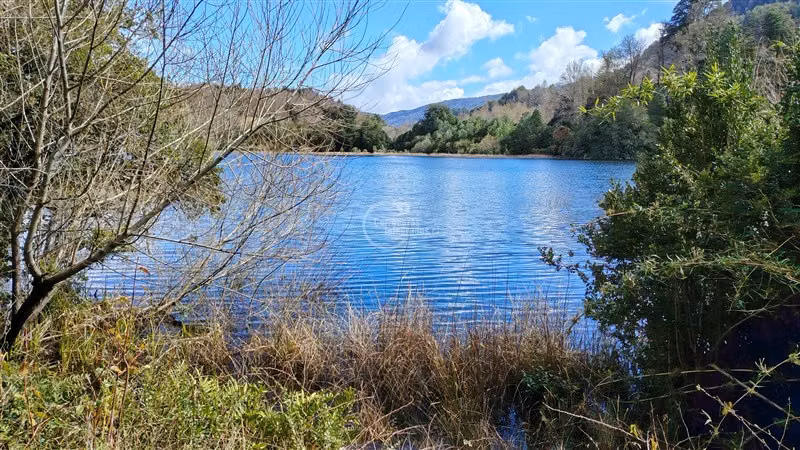 Parcela en venta en Pucón