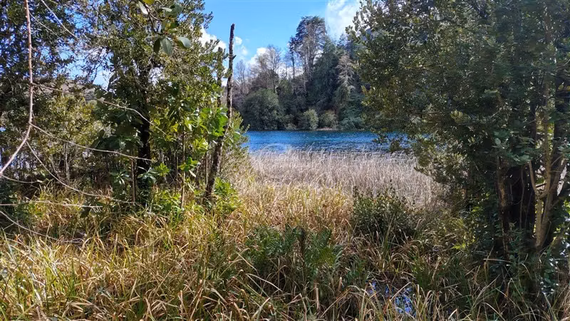 Parcela en venta en Pucón - Imagen 15