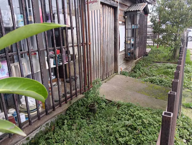 Amplia Casa con Jardín en Sector Tranquilo (167853) - Imagen 15