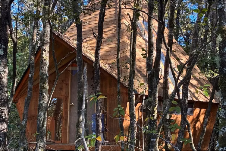 Venta parcela con refugio en el cerdúo, pucón