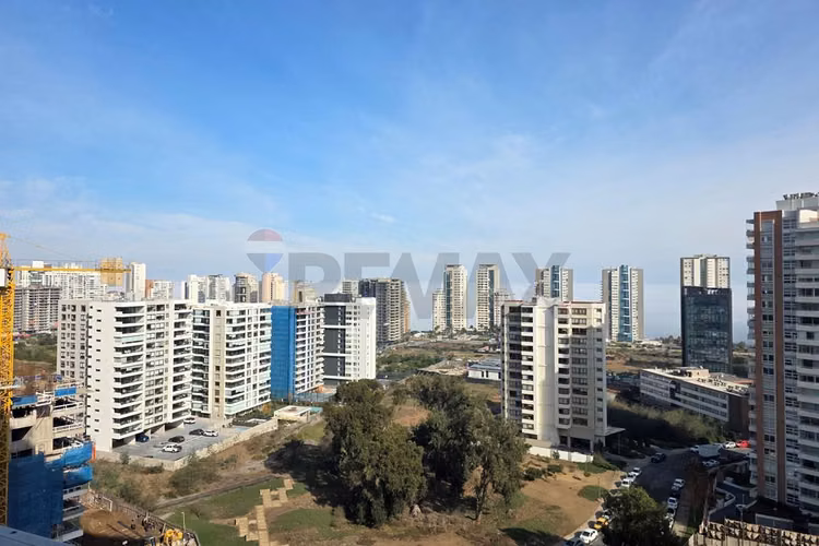 Foresta de montemar | 1d 1b - Imagen 18