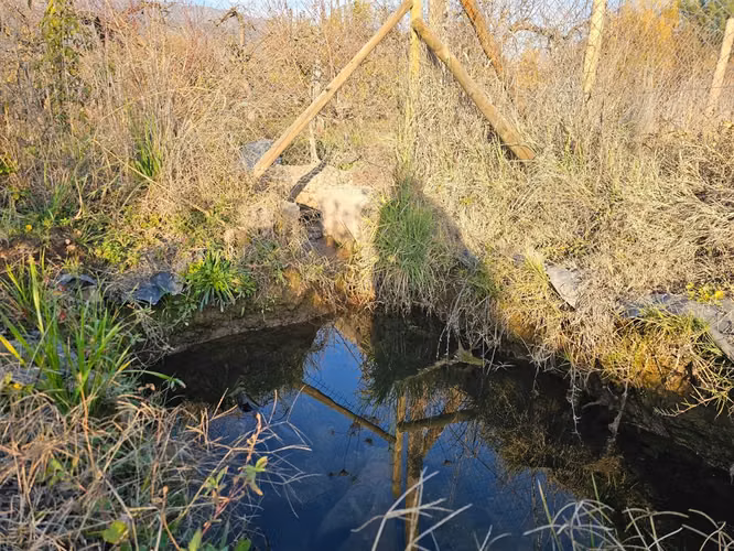 PARCELA Las Delicias, Codegua