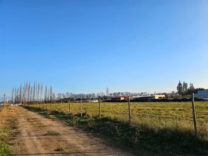 PARCELA Las Delicias, Codegua