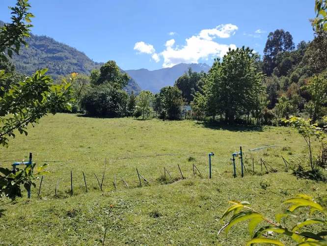 AGRICOLA Calcurrupe bajo - Imagen 9