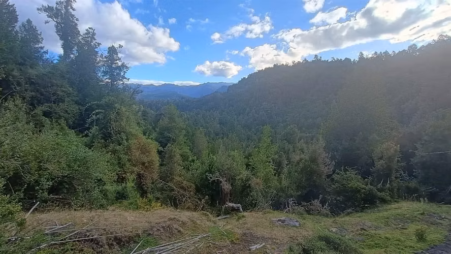 PARCELA Calcurrupe bajo