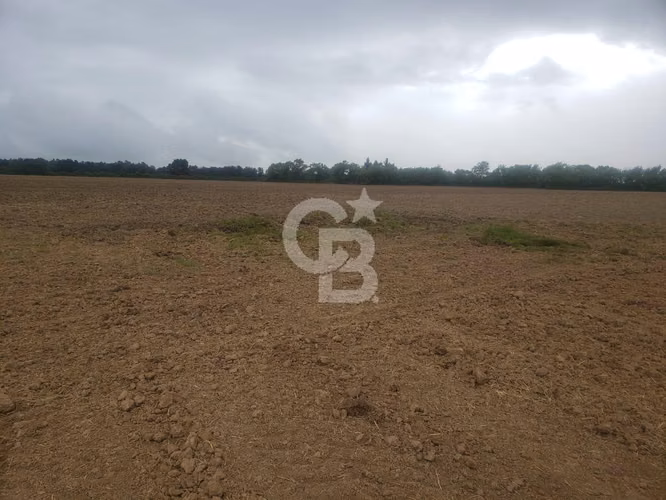 Parcela Productiva 23há con Agua, Cerca Ruta 5 Sur