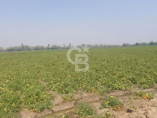 Parcela Productiva 23há con Agua, Cerca Ruta 5 Sur