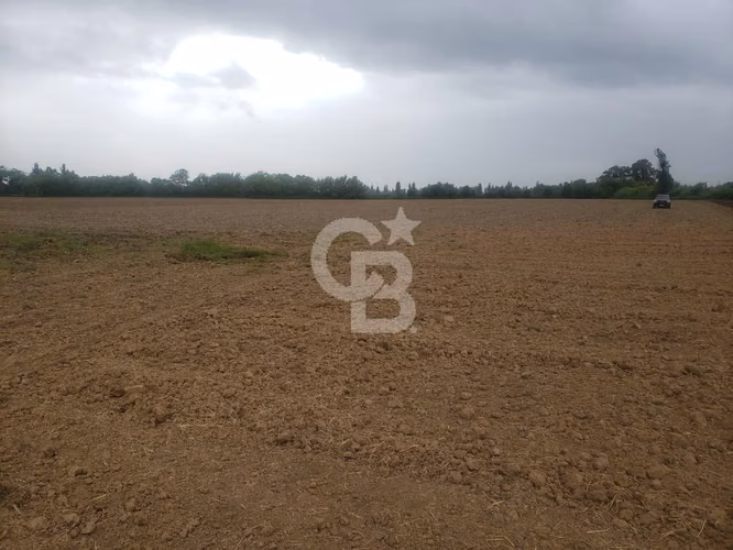 Parcela Productiva 23há con Agua, Cerca Ruta 5 Sur