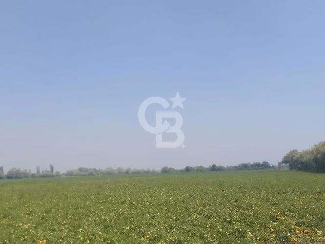 Parcela Productiva 23há con Agua, Cerca Ruta 5 Sur