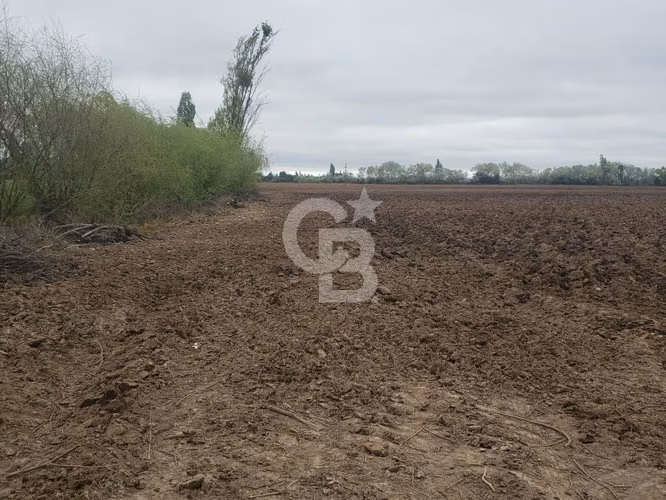Parcela Productiva 23há con Agua, Cerca Ruta 5 Sur