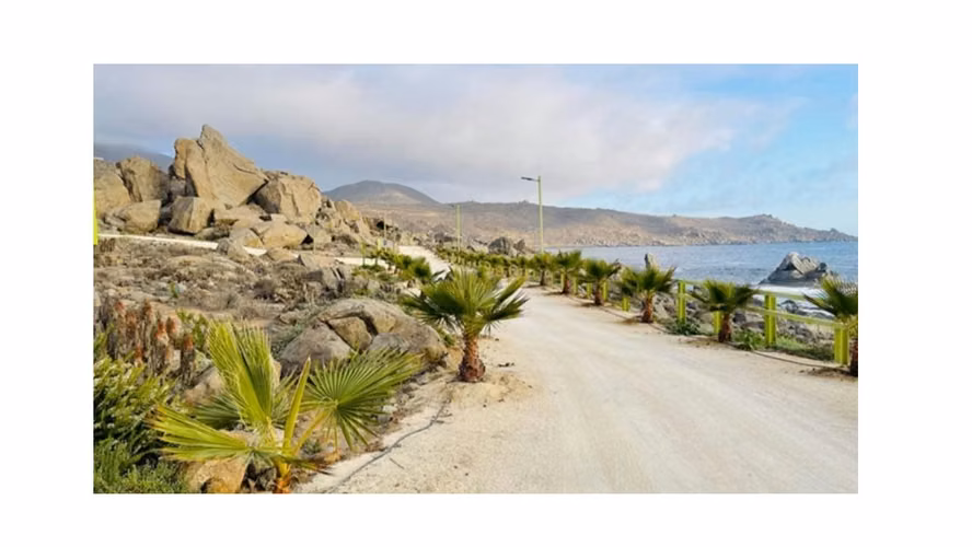 Parcela 5000 mts2 em Costa del Sol