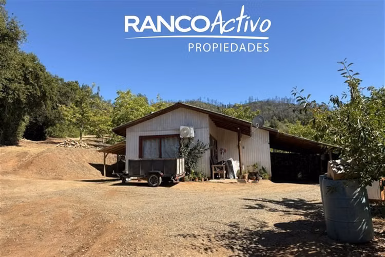 Agrícola en venta en Quillón