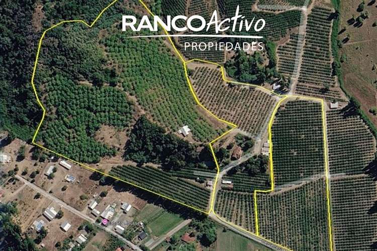 Agrícola en venta en Quillón
