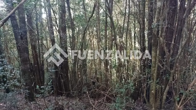 Parcela en venta Region de Los Lagos