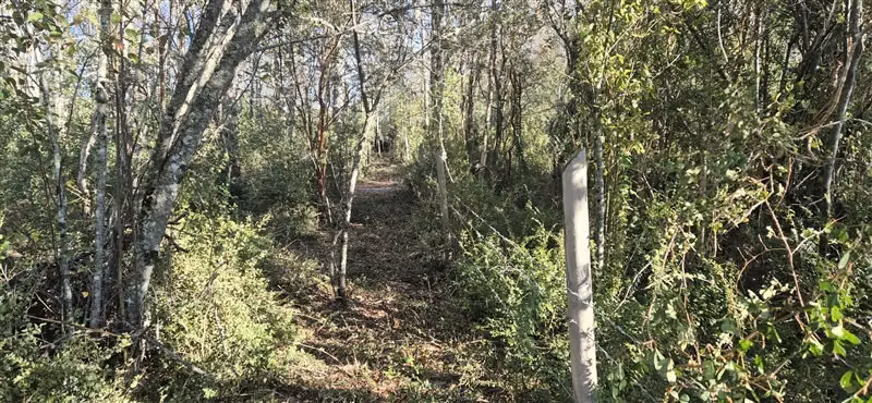 Parcela en venta entre Villarrica y Pucón