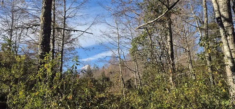 Parcela en venta entre Villarrica y Pucón - Imagen 2