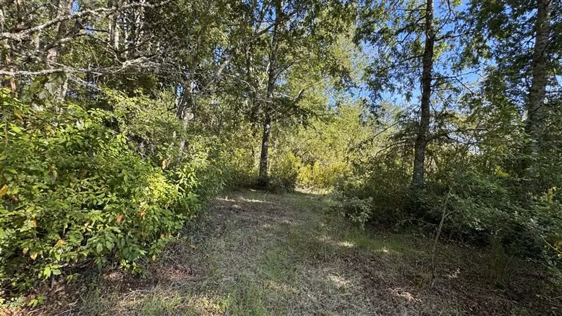 Parcela en venta entre Villarrica y Pucón - Imagen 4